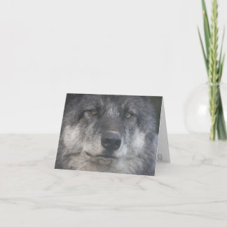 Himtuuqin noterar kortet kort