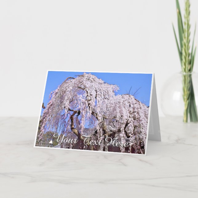 Himuro Shrine Kort (Framsida)