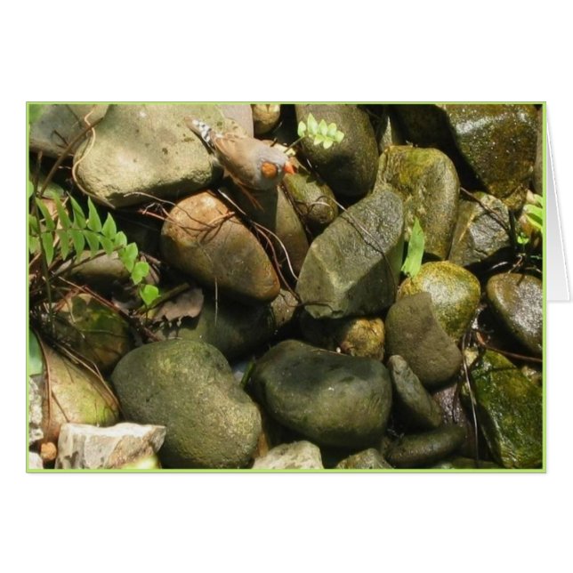 Hinder kort, textinsida hälsningskort (Framsidan Horizontal)