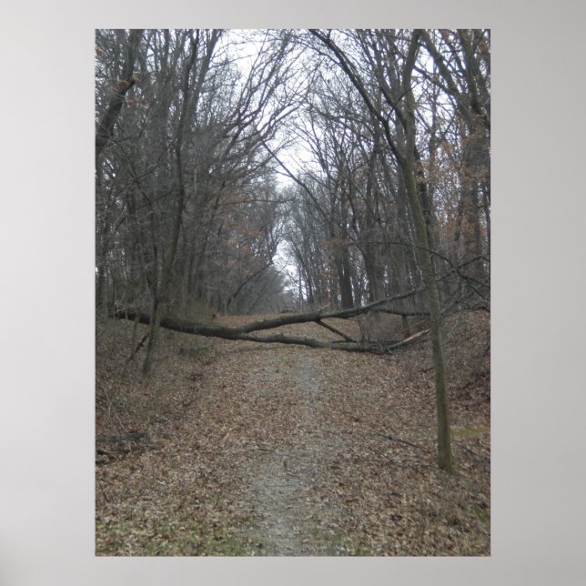 Hinder på vägen poster (Framsidan)