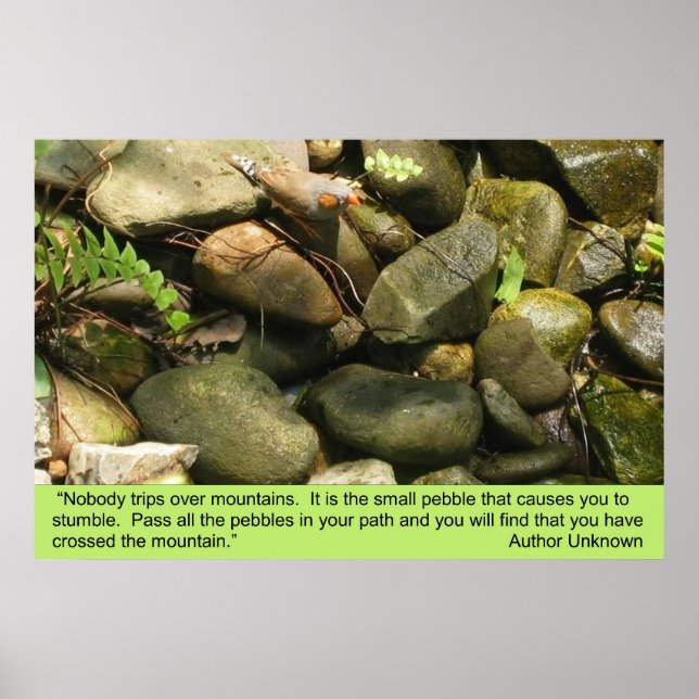 Hinder, skriv ut poster (Framsidan)