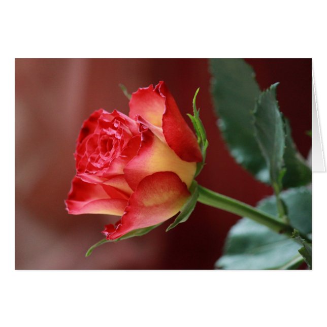 Hindi, jag kärlek du hälsningskort (Framsidan Horizontal)