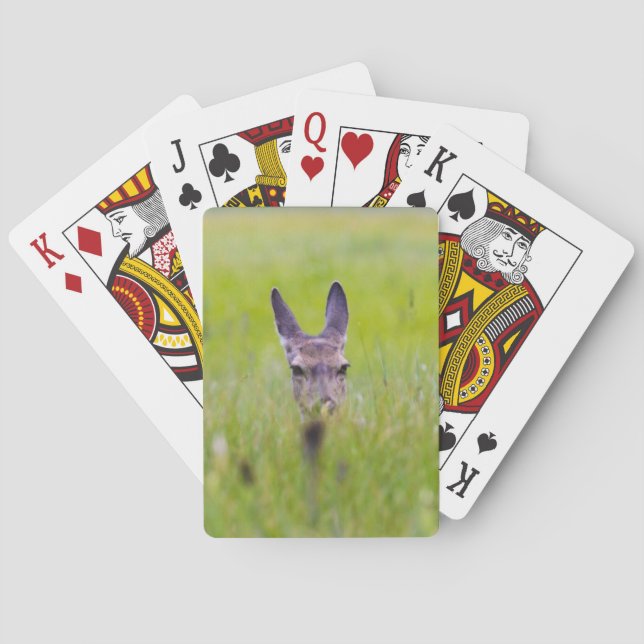 hindrande hjort casinokort (Baksidan)
