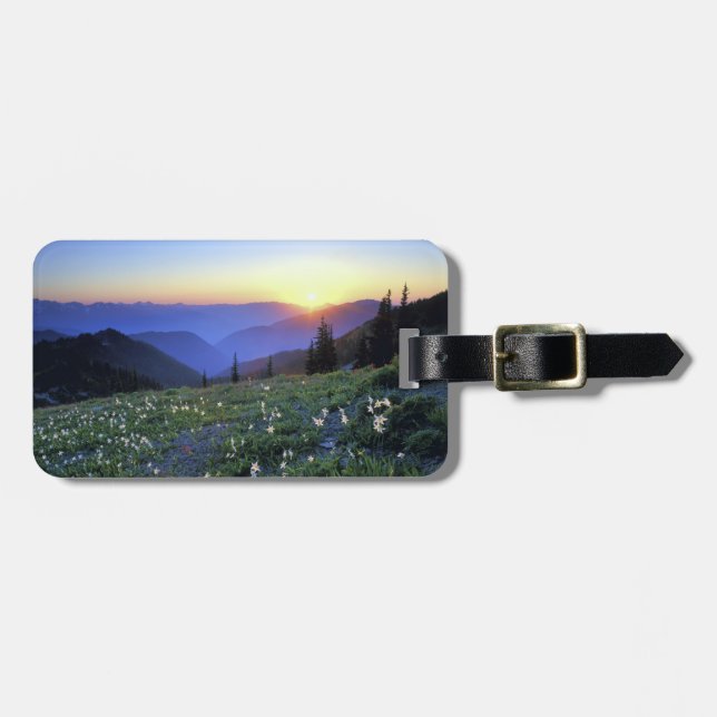 Hindrande Point Sunset, Olympic NP, WA, Förenta st Bagagebricka (Horisontell Framsida)