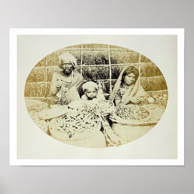 Hindu Vegetable and Fruit Sellers in Madras, 19:e Poster (Framsidan)