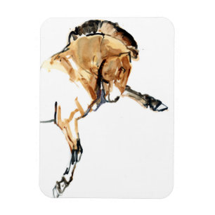 Hingst Magnet