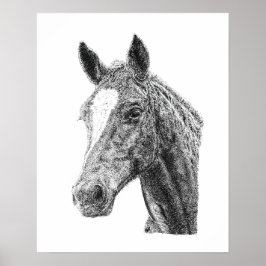 Hingst Manlig Häst Huvud Vit Blixt Häst Konst Poster