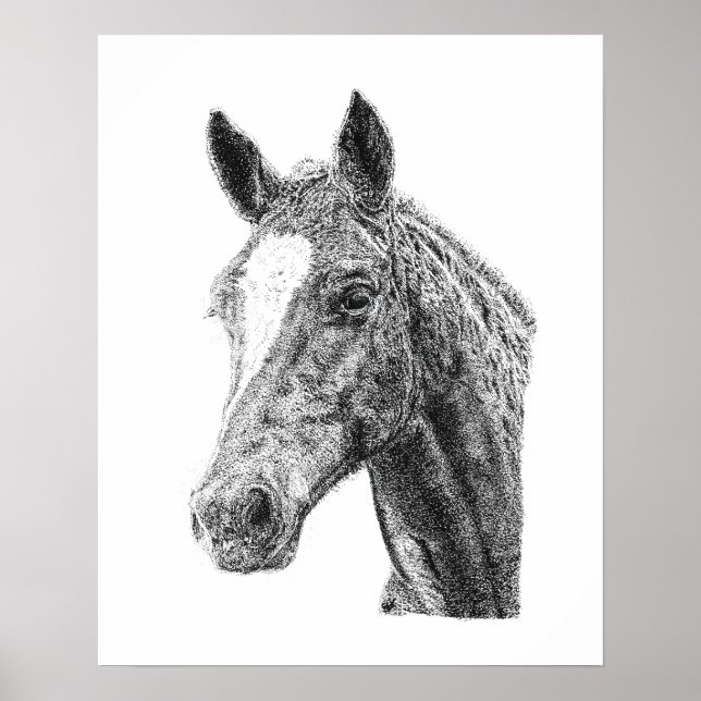 Hingst Manlig Häst Huvud Vit Blixt Häst Konst Poster (Framsidan)