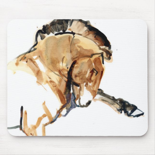 Hingst Musmatta (Framsidan)