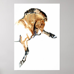Hingst Poster