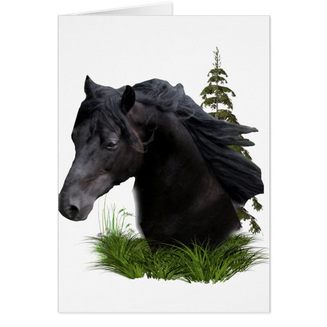 hingst.slutlig hälsningskort (Framsidan)