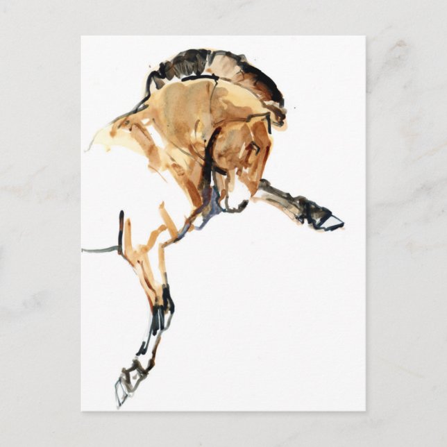 Hingst Vykort (Framsida)