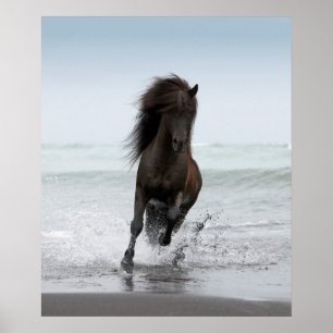 Hingstspring på den norr Atlanten för strand Poster