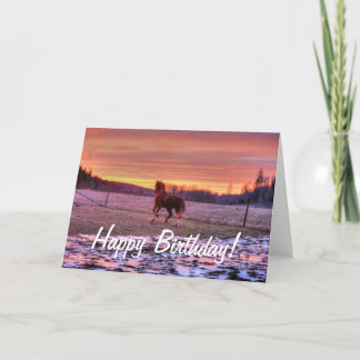 Hingstspringhem på solnedgången på ranch kort