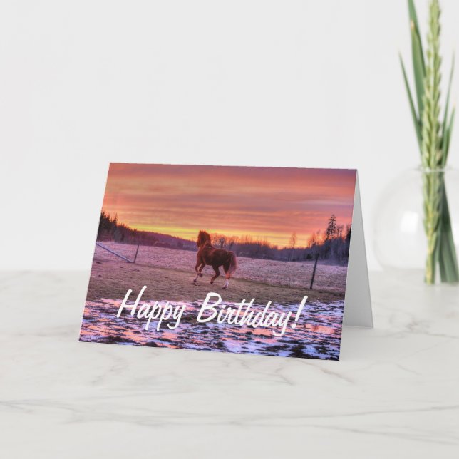 Hingstspringhem på solnedgången på ranch kort (Framsida)