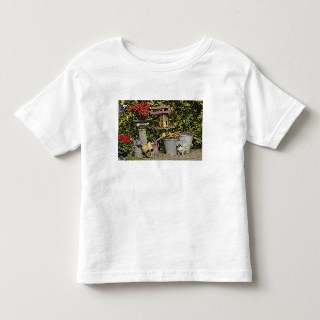 Hinkar, skor och blommor, Zaanse Schans, Tee (Framsida)