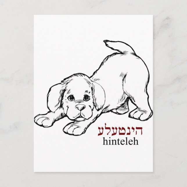 ’Hinteleh’-puppy Vykort (Framsida)