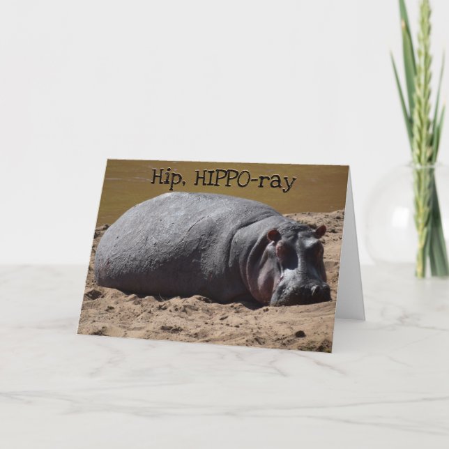 Hip Hooray Hippo Birthday Kort (Framsida)