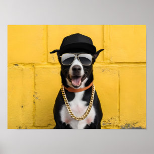Hip hop Hund Star i Trendig Cap and chain Poster