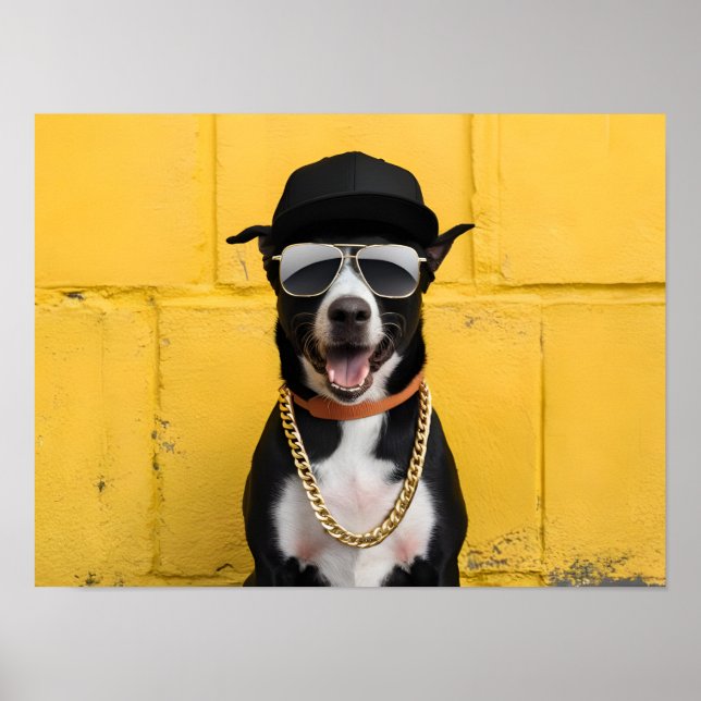 Hip hop Hund Star i Trendig Cap and chain Poster (Framsidan)