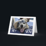 HIP HUND SÄGER "HEY MAMMA" "HA A GRATTIS PÅ FÖDELS KORT<br><div class="desc">DENNA "HIP-HUND" ÄR SÅ REDO ATT SÄGA ATT DIN ***MAMMA** HAR EN COOLA BIRTHDAG!</div>
