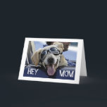 HIP HUND SÄGER "HEY MAMMA" "HA A GRATTIS PÅ FÖDELS KORT<br><div class="desc">DENNA "HIP-HUND" ÄR SÅ REDO ATT SÄGA ATT DIN ***MAMMA** HAR EN COOLA BIRTHDAG!</div>