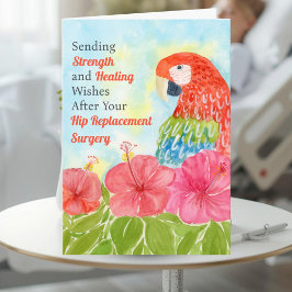 Hip Surgery Healing Scarlet Macaws, Hibiscus Kort