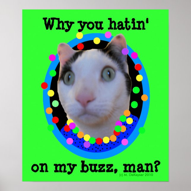 Hippie Psychedelic Rainbow Buzz Cat Poster (Framsidan)