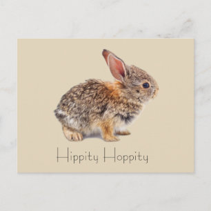 Hippity Hoppity Cottontail Rabbit Vykort
