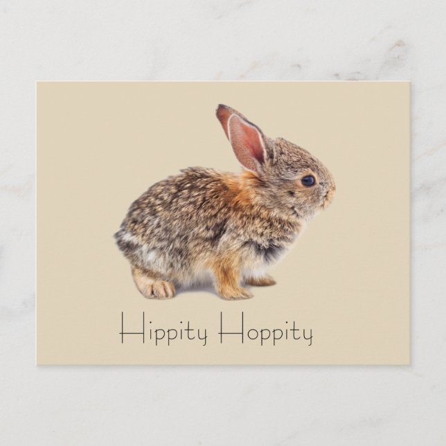 Hippity Hoppity Cottontail Rabbit Vykort (Framsida)