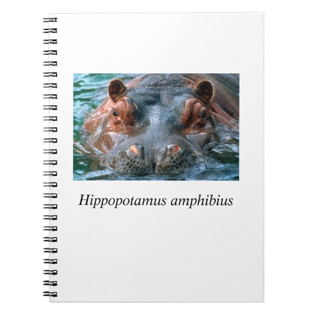 Hippo#1 Anteckningsbok Med Spiral (Framsidan)