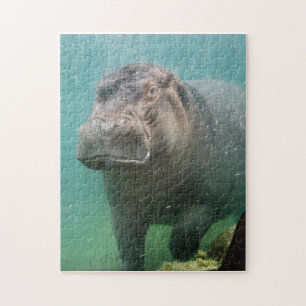 hippo-4 pussel