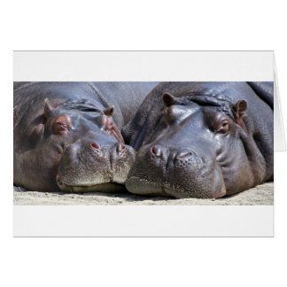 Hippo-78352 Hälsningskort