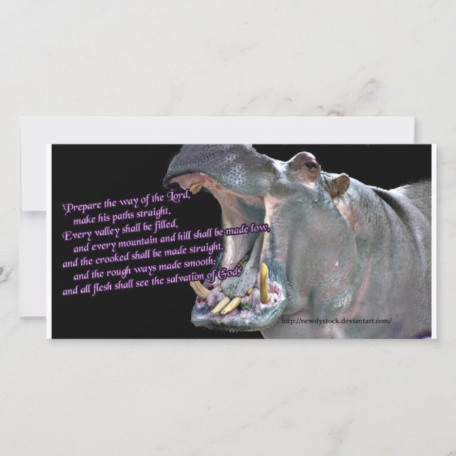 Hippo Advent Card (Framsida)