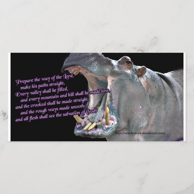 Hippo Advent Card (Framsida)