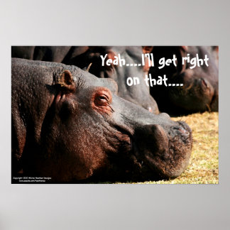 Hippo-attityden "jag får höger om det" poster