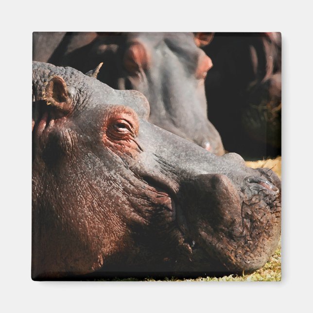 Hippo attitydmagnet magnet (Framsidan)