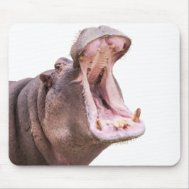 Hippo Big Mouth Musmatta