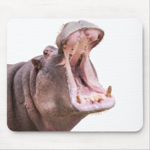 Hippo Big Mouth Musmatta