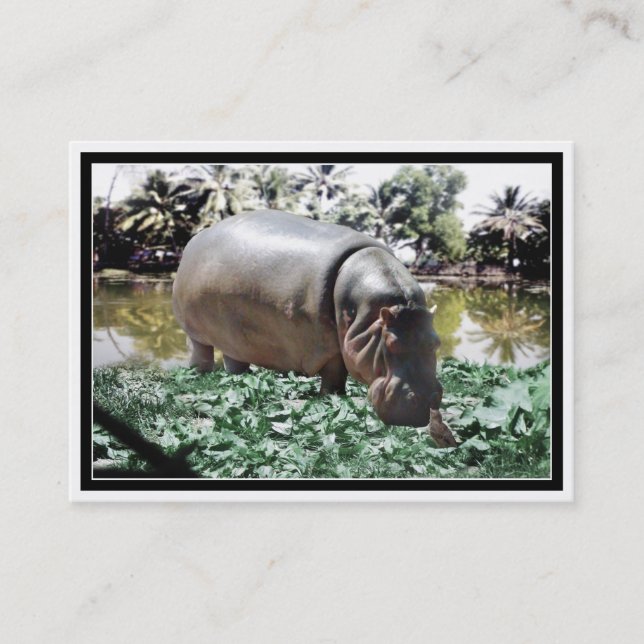 Hippo & Bird Visitkort (Framsida)
