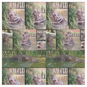 Hippo Determination Photo Collage Tyg