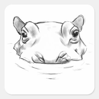 Hippo drawing fyrkantigt klistermärke