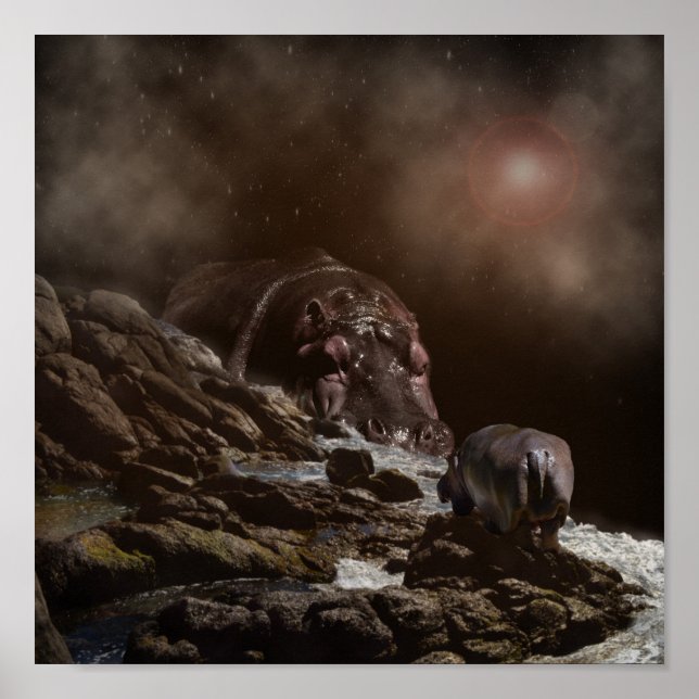 Hippo Enchanting Evening Poster (Framsidan)