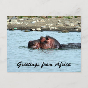 hippo hälsning vykort