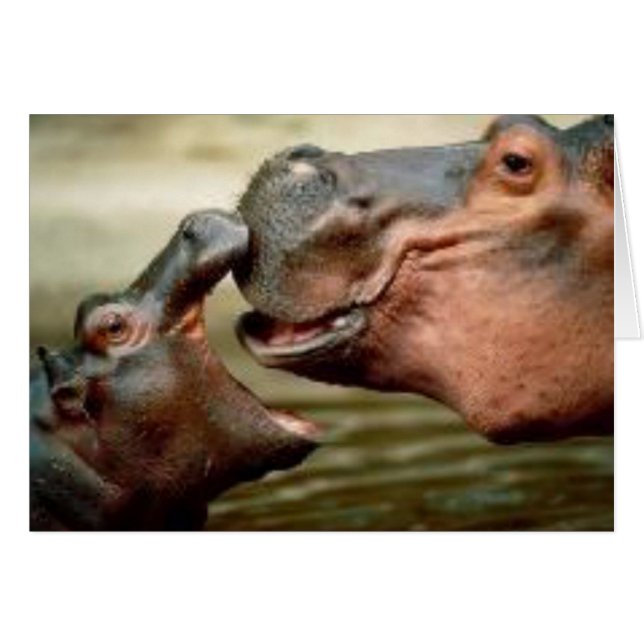 HIPPO HÄLSNINGSKORT (Framsidan Horizontal)