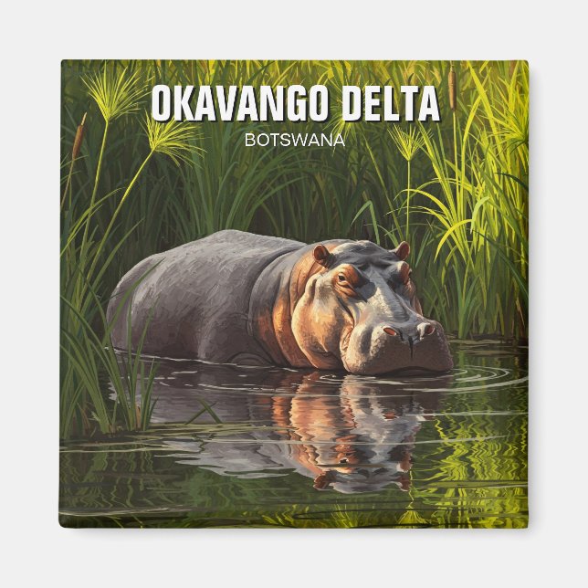 Hippo i Okavango Delta Botswana Magnet (Framsidan)