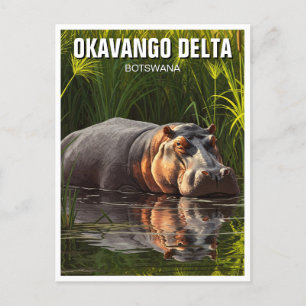 Hippo i Okavango Delta Botswana Vykort