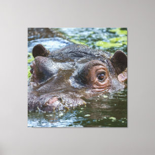 Hippo i Triptych Vatten Canvastryck