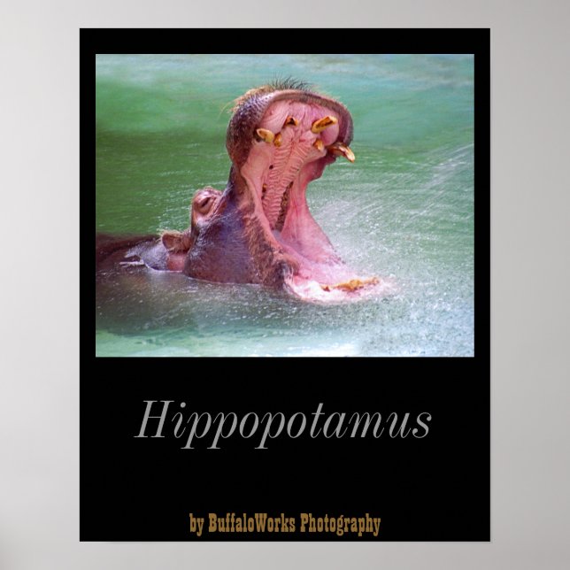 Hippo Mouth Open Poster (Framsidan)