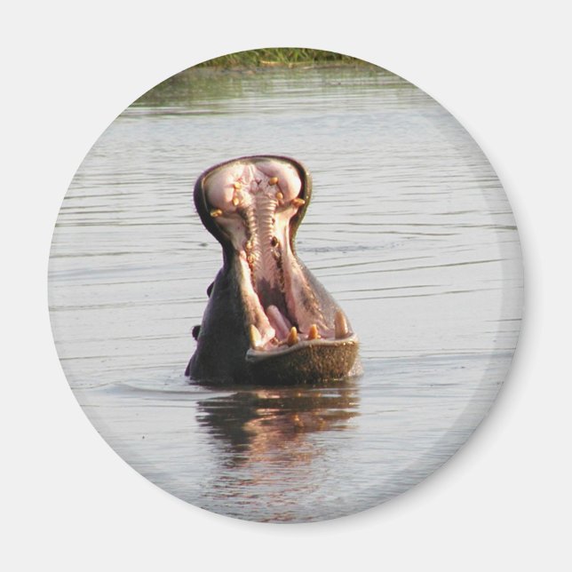 Hippo-mun (rund eller fyrkantig magnet) magnet (Framsidan)